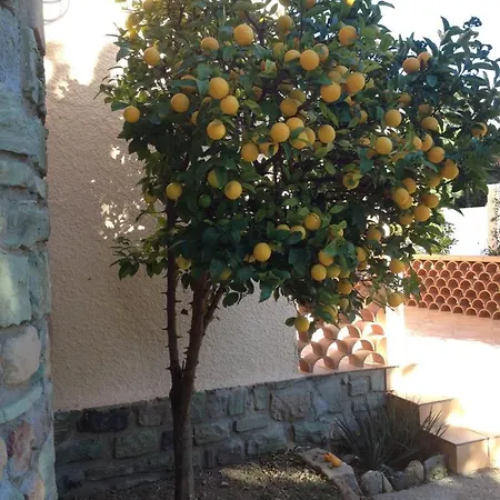 Jfm Nyaraló